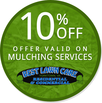 10% Off - Offer Valid on Mulching Services